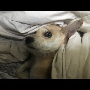 Meet your Posher, Tashana